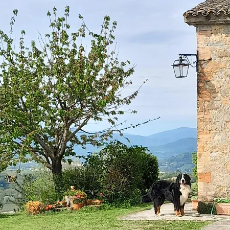 Alloggio per agriturismo Monterosello