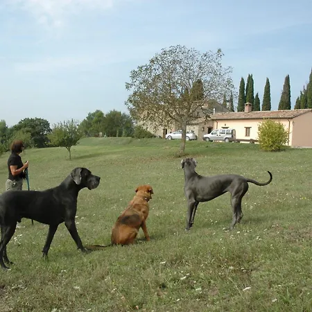 Vakantieboerderij Monterosello
