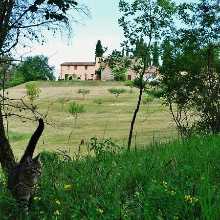 Monterosello Vakantieboerderij