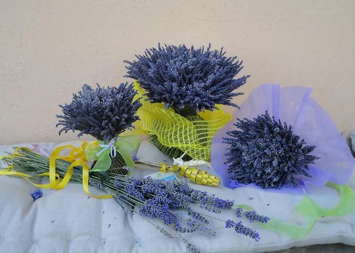 Farm stay Monterosello Citta di Castello