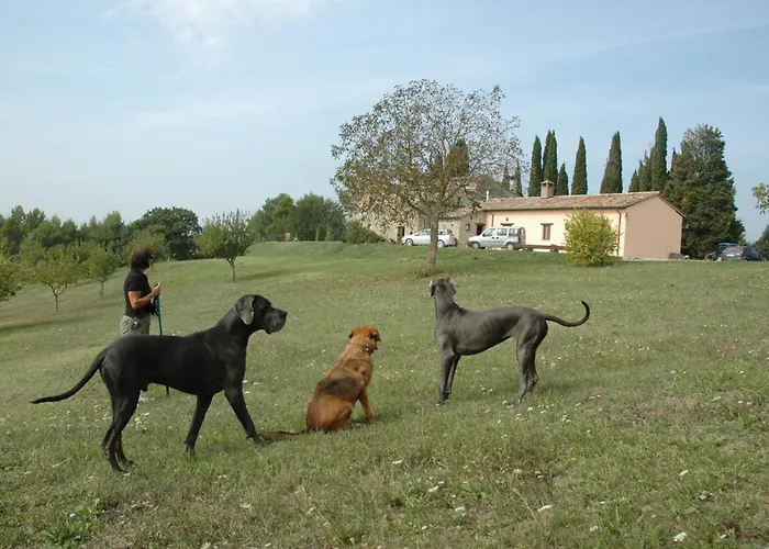 Farm stay Monterosello